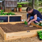 How to Build a Raised Bed Garden: Grow Like a Pro!