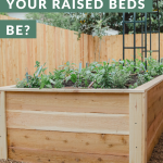 How Deep Should a Raised Garden Be