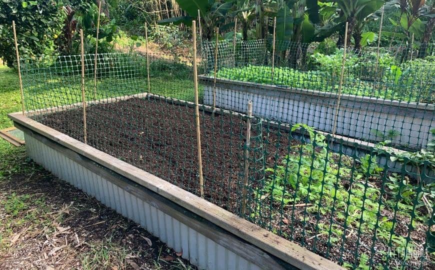 How Do I Keep Cats Out of the Garden