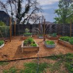 How Do You Keep Rabbits Out of Your Garden