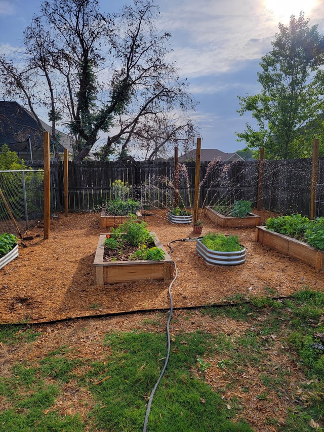 How Do You Keep Rabbits Out of Your Garden