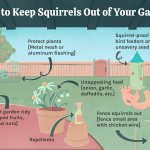 How Do You Keep Squirrels Out of Your Garden