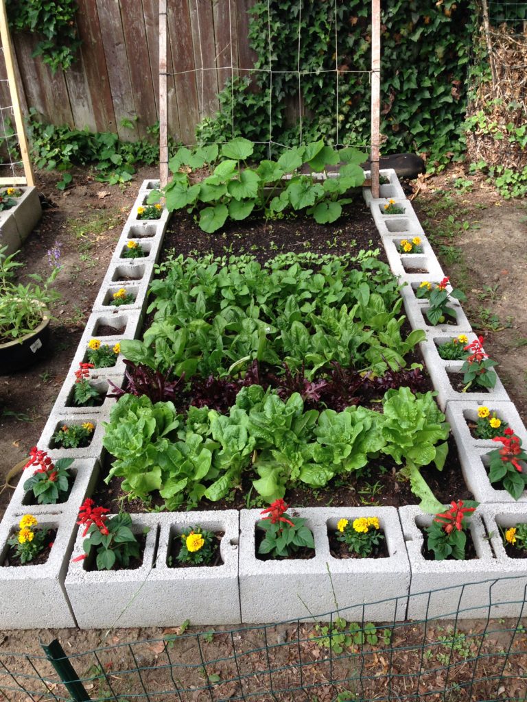How Do You Start a Garden