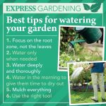 How Often Should I Water My Garden