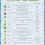 How Often to Water Garden
