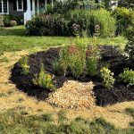 How to Build a Rain Garden