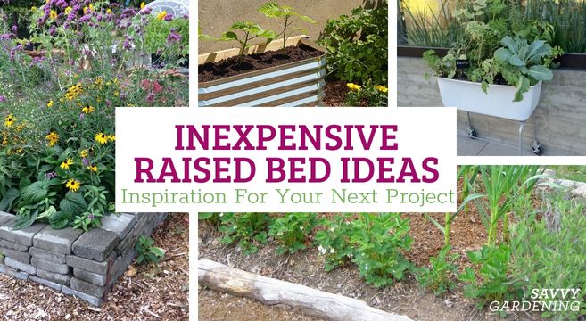 How to Build Inexpensive Raised Garden Beds