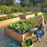 How to Build Raised Garden Bed
