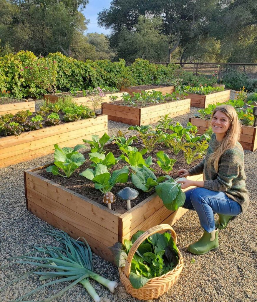 How to Build Raised Garden Bed