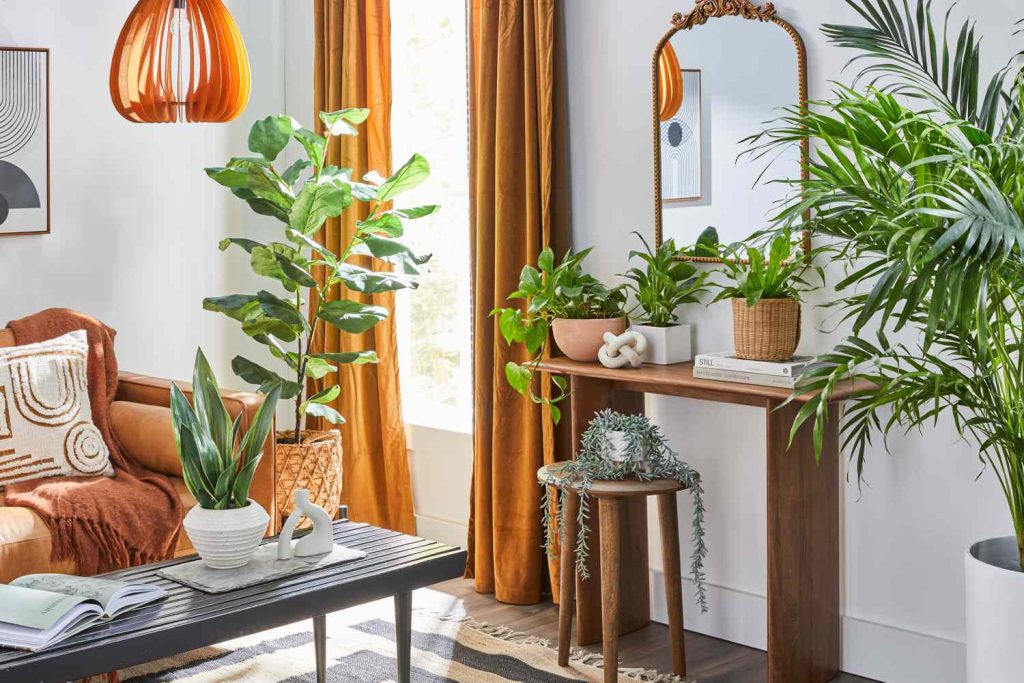 How to Decorate Living Room With Plants