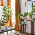 How to Decorate Living Room With Plants