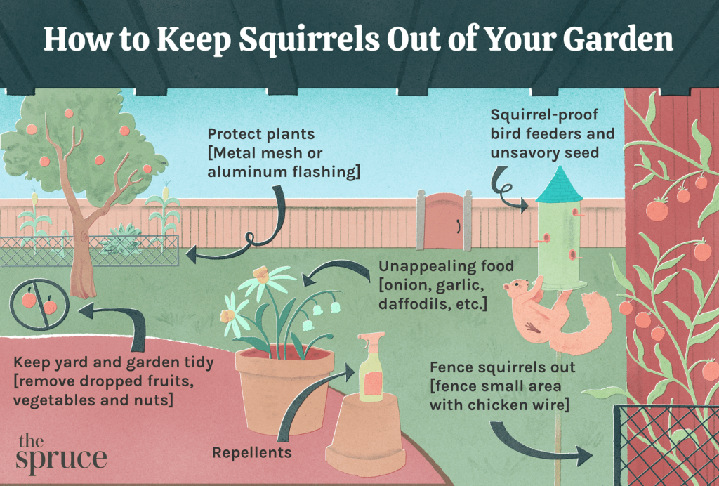 How to Deter Squirrels from Garden