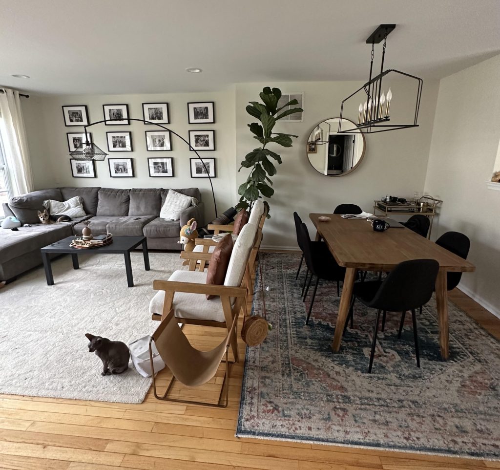 How to Divide Living Room And Dining Room