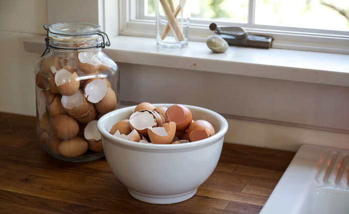 How to Dry Out Eggshells for Garden