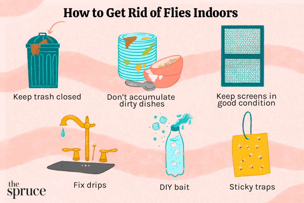 How to Get Rid of Flies in Kitchen
