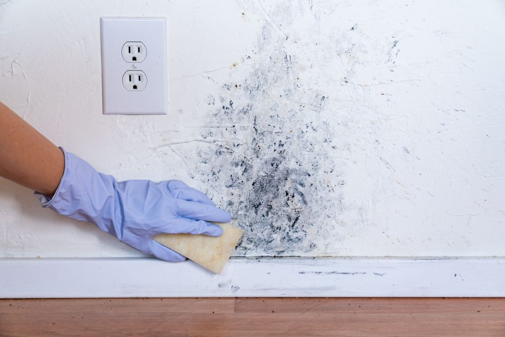 How to Get Rid of Mould in Bedroom
