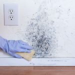 How to Get Rid of Mould in Bedroom