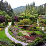 How to Get to Butchart Garden from Port Angeles Washington