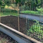 How to Keep a Cat Out of the Garden