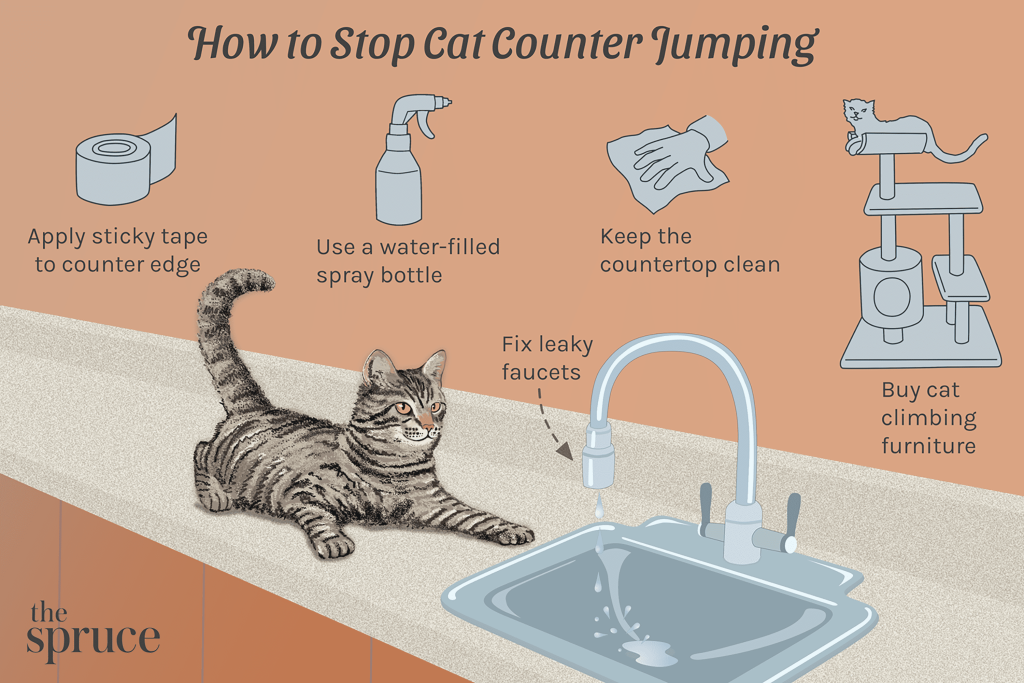 How to Keep Cats off Kitchen Countertops