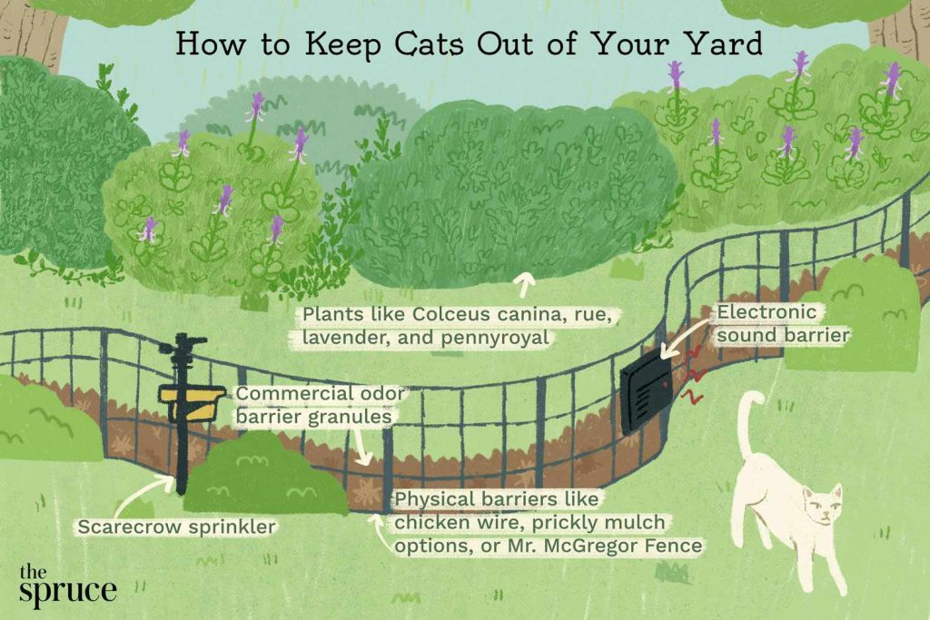 How to Keep Cats Out of Your Garden