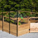 How to Keep Critters Out of Garden