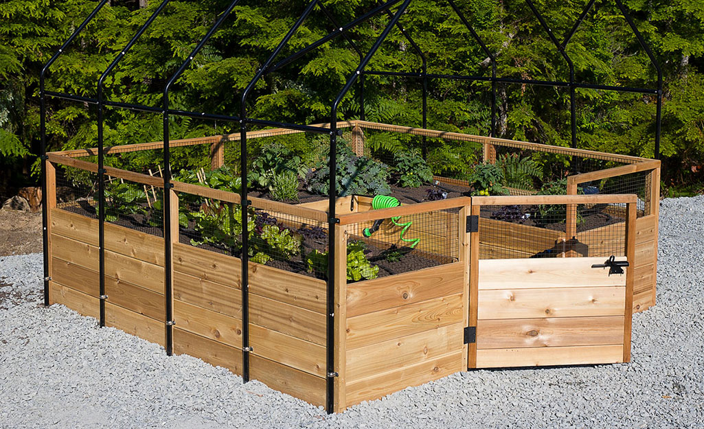 How to Keep Critters Out of Garden
