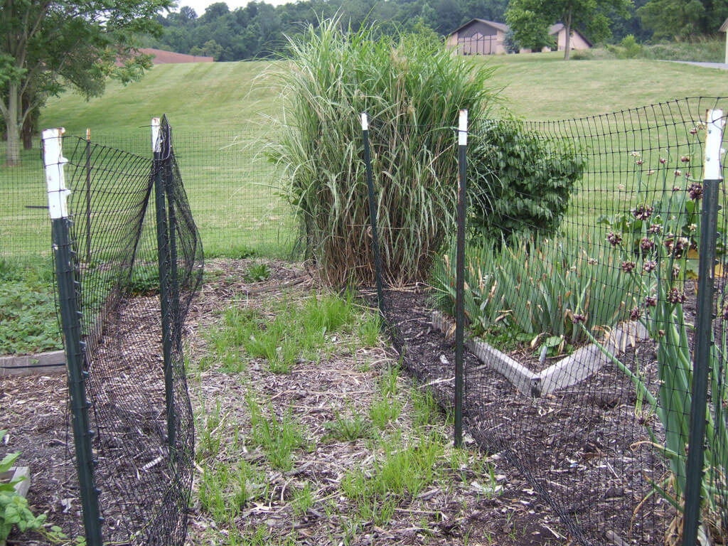 How to Keep Deer Out of a Garden