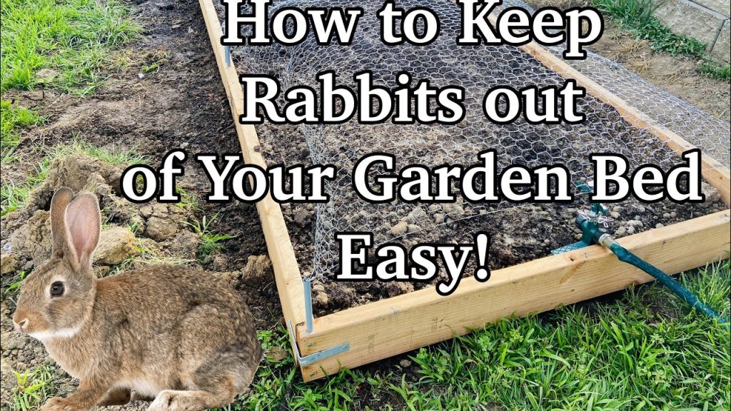 How to Keep Rabbits Out of Your Garden