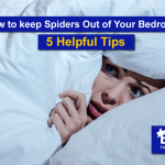 How to Keep Spiders Out of Bedroom