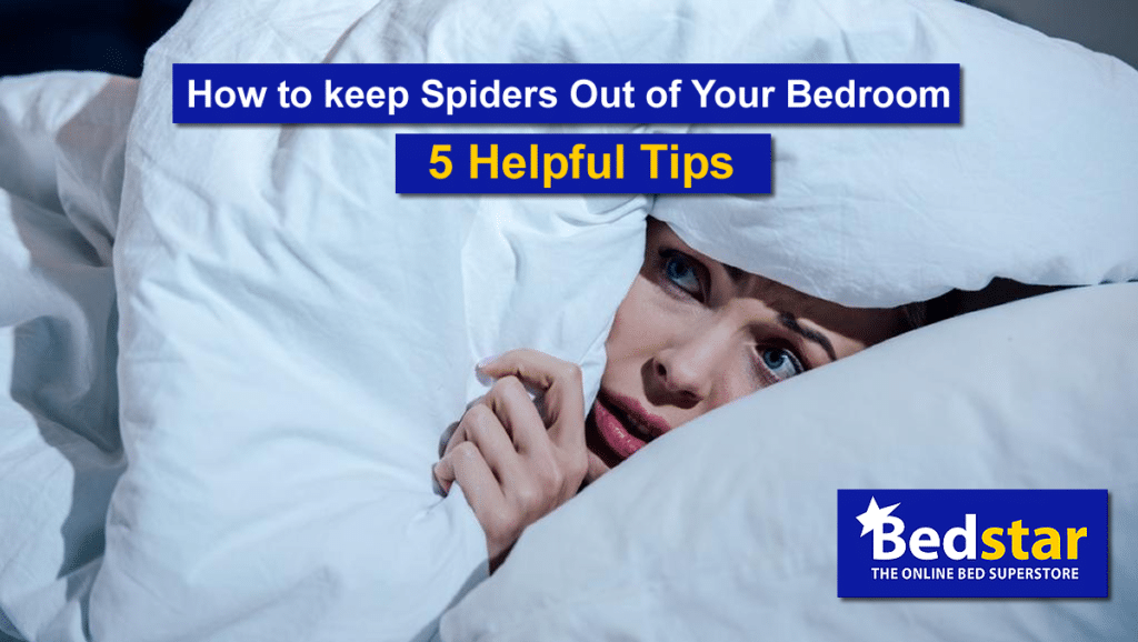 How to Keep Spiders Out of Bedroom