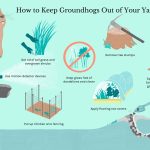 How to Keep Woodchucks Out of Garden