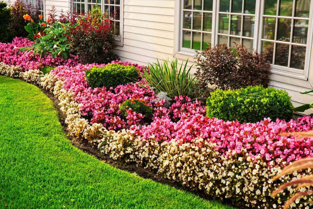 How to Make a Flower Garden