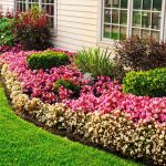 How to Make a Flower Garden