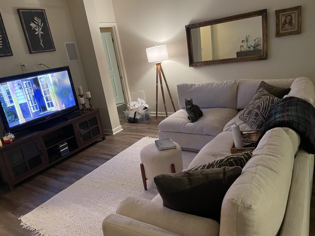 How to Make Living Room Cozy