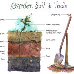 How to Prepare Soil for Garden