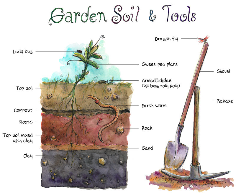 How to Prepare Soil for Garden