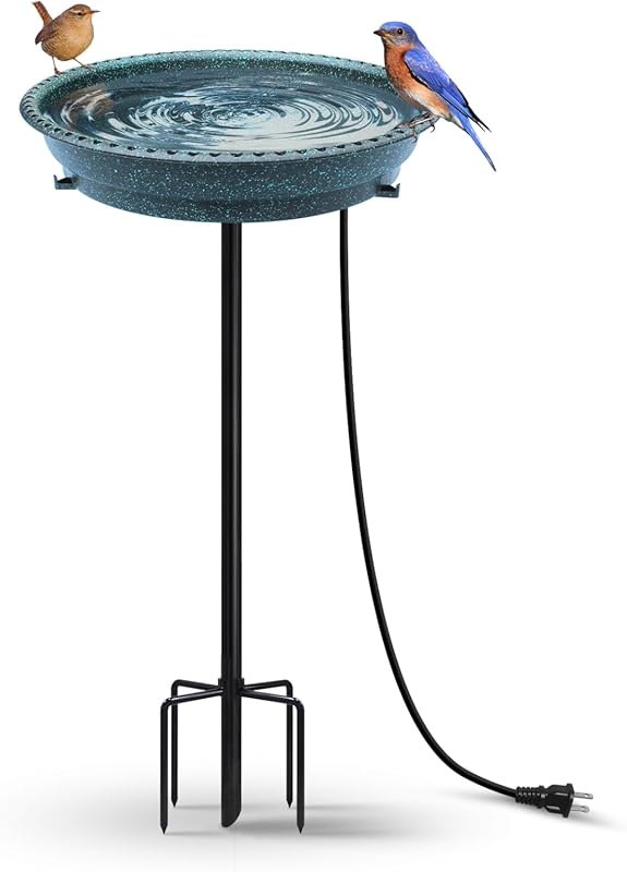 5 Best Bird Baths for Winter: Expert-Reviewed & Recommended