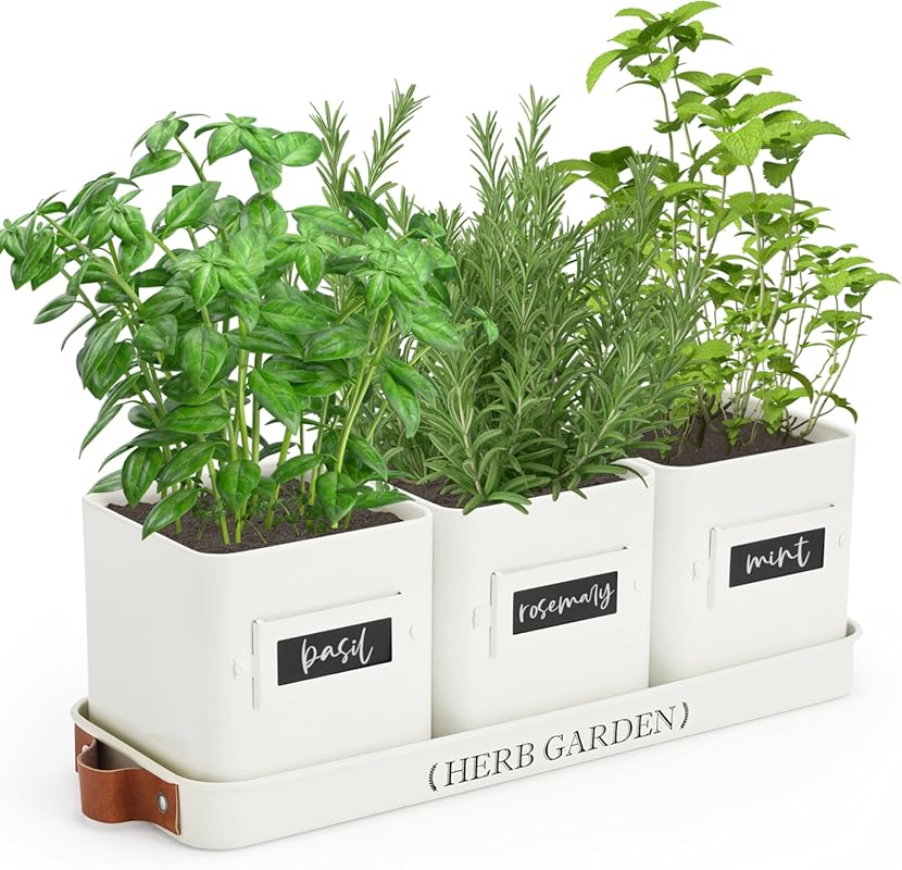 PERFNIQUE Indoor Herb Garden Planter Set with Tray & Drainage, Farmhou