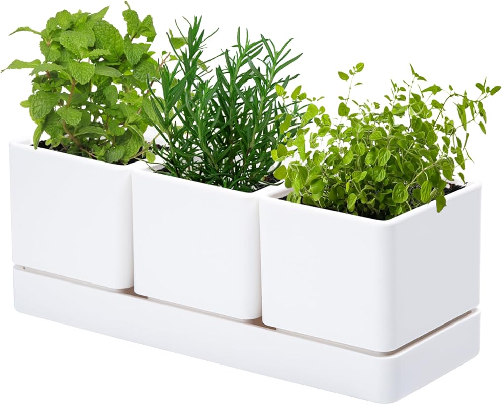 D'vine Dev Herb Garden Planter Set, Plastic Pots with Drainage & Sauce