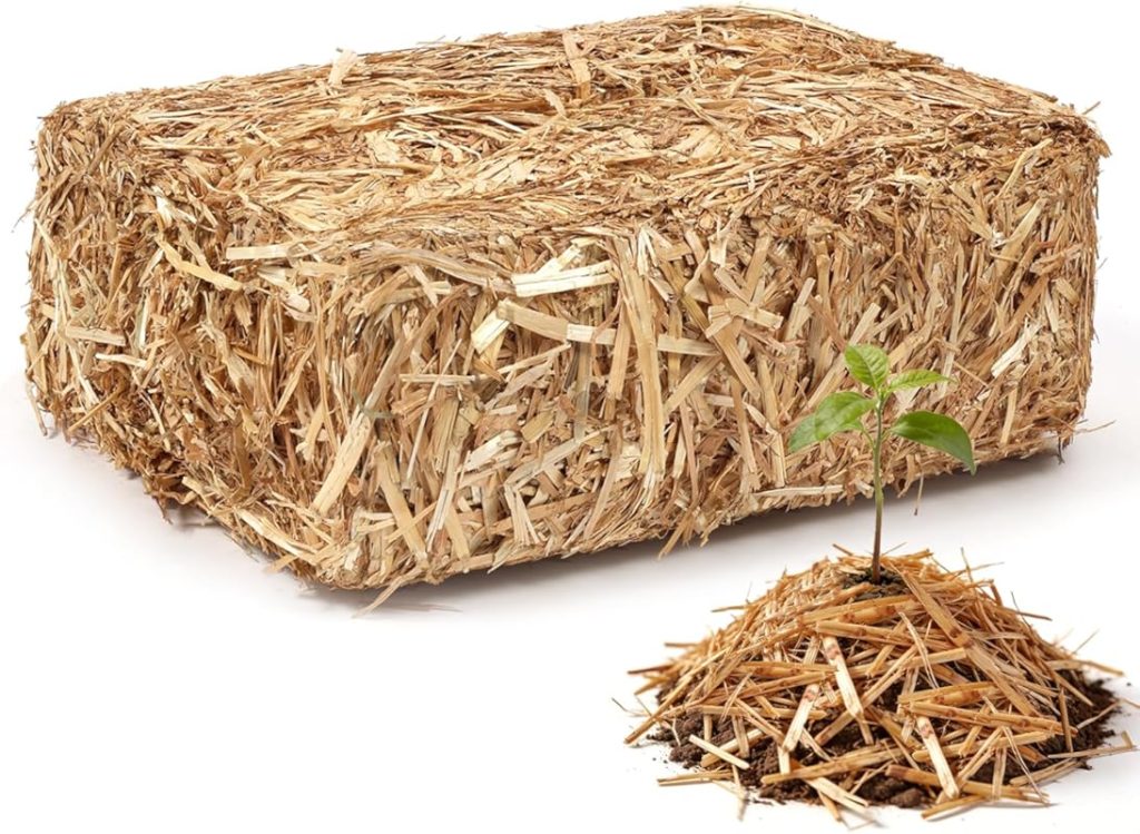 5 Best Organic Mulch For Your Vegetable Garden: Expert Approved
