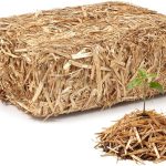 5 Best Organic Mulch For Your Vegetable Garden: Expert Approved